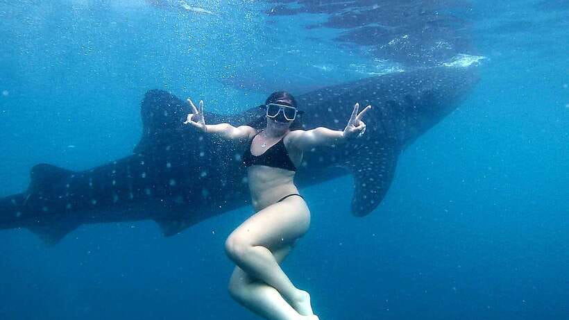 Cebu: Whale Shark Swim, Kawasan Falls & Moalboal Sardine Run - Breakfast is separate, so plan ahead