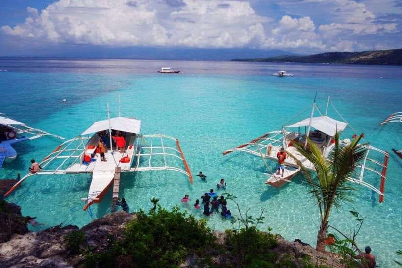 Cebu: Whale Shark Swimming, Sumilon Island and Kawasan Falls - Drivers, vehicles, and the value of included transport