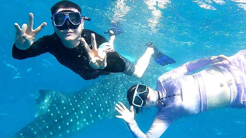 Cebu: Whale Shark, Tumalog Waterfall, and Moalboal Tour - Breakfast after the busiest morning