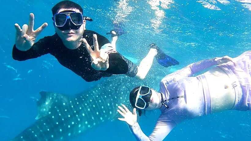 Cebu: Whale Shark, Tumalog Waterfall, and Moalboal Tour - Tumalog Falls provides a cool change of pace