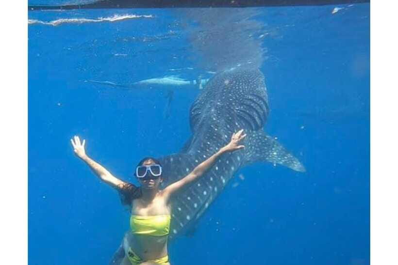 Cebu:Whale Shark, Waterfall, and Sardine Run Group Tour+Meal - Inambakan Falls for swimming and photos