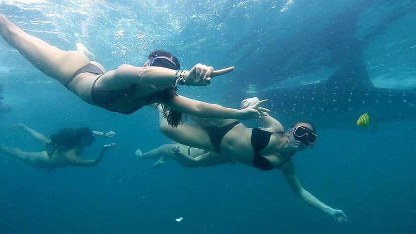 Cebu: Whale Sharks, Ka-Treasure Water Terraces & Simala Tour - Oslob Whale Sharks: The Day’s Main Event