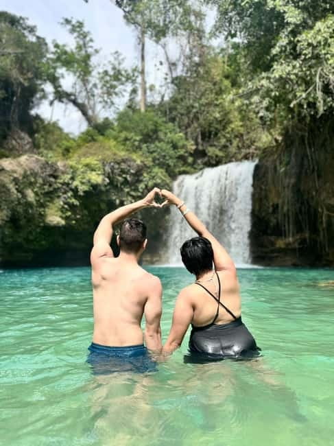 Cebu: Whale Sharks, Kawasan Falls, & Sardines Run Snorkeling - Moalboal’s sardines and sea turtles