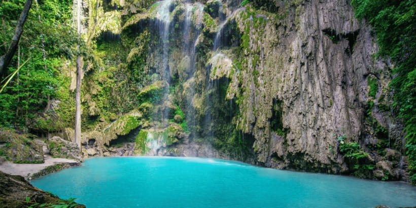 Cebu: Whale Sharks, Tumalog Falls, and Monkey Sanctuary Tour - Lunch, brunch, and a fresh coconut