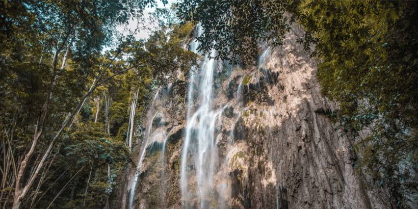 Cebu: Whale Sharks, Tumalog Falls, and Monkey Sanctuary Tour - The schedule is full, so pace yourself
