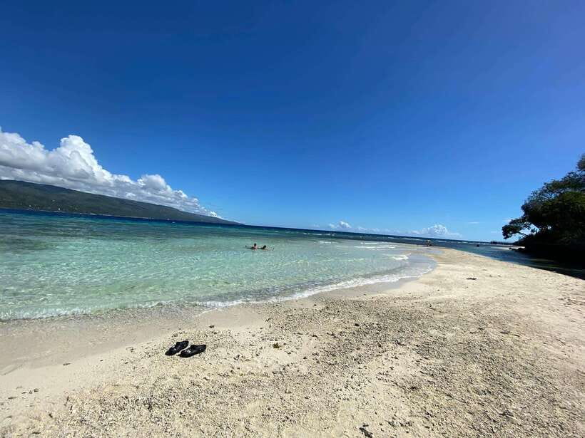 Cebu: Whaleshark Encounter, Sumilon Sandbar & Tumalog Falls - Weather, timing, and service risks