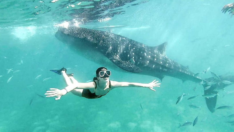 Cebu: Whaleshark Swimming & Kawasan falls Canyoneering Tour - Key points to know before booking