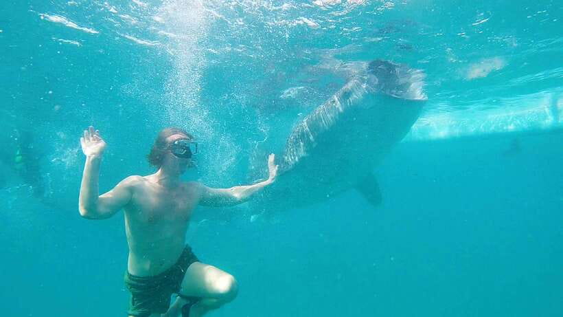 Cebu: Whaleshark Swimming & Kawasan falls Canyoneering Tour - A practical warning about bathrooms and changing