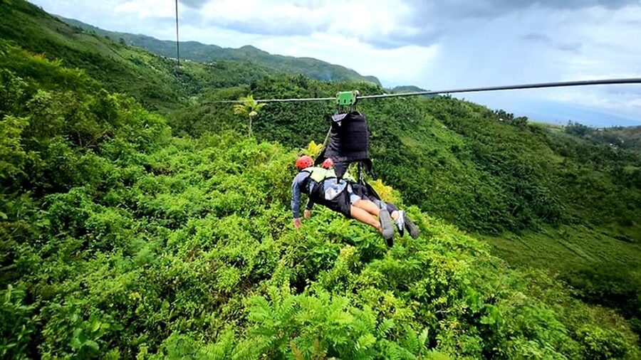 Cebu: Whaleshark Swimming & Kawasan falls Canyoneering Tour - How the guides and transport affect the day