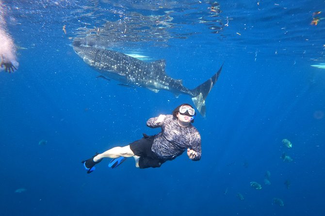 Cebu Whaleshark Tour - Tumalog Falls closes the day with fresh water
