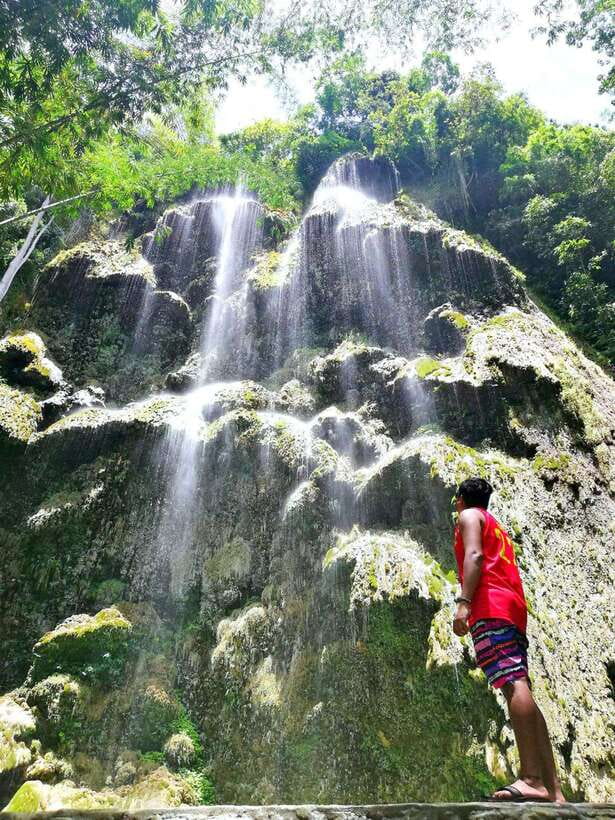 Cebu: WhaleShark , Tumalog Falls, & Sardine Run Snorkeling - Tumalog Falls brings cool water and a green setting