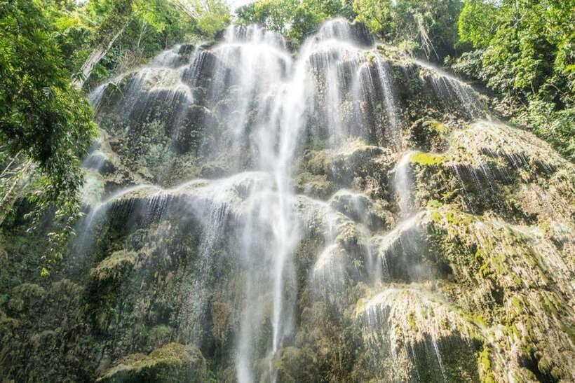 Cebu: WhaleShark , Tumalog Falls, & Sardine Run Snorkeling - Who will enjoy this Cebu day most