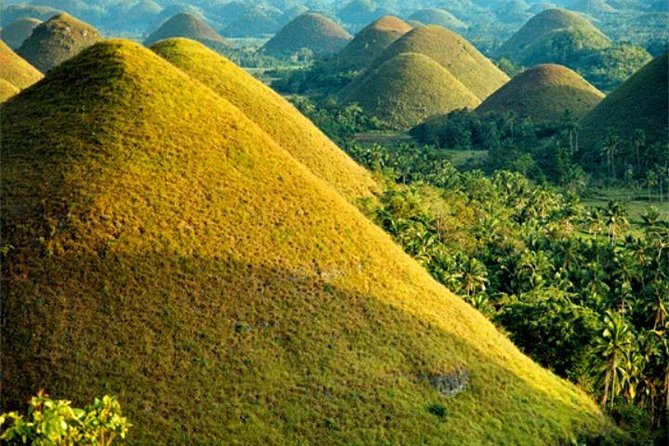 Chocolate hills tour with Tarsier & Loboc river Buffet Lunch (half-day tour) - Why this half-day tour works in Bohol