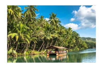 Chocolate hills tour with Tarsier & Loboc river Buffet Lunch (half-day tour)