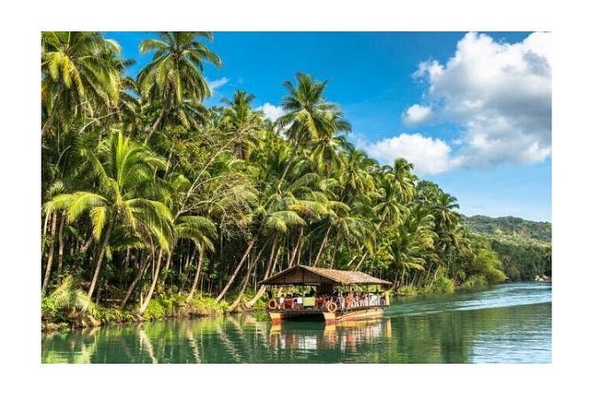 Chocolate hills tour with Tarsier & Loboc river Buffet Lunch (half-day tour) - Chocolate Hills: Bohol’s famous first postcard