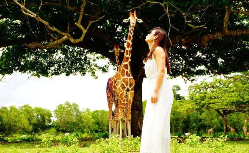 Coron: Calauit Safari Black Island Lunch & Transfer included - Meeting giraffes at Calauit Wildlife Safari