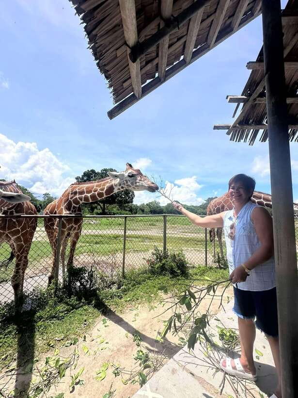 Coron: Calauit Safari Black Island Lunch & Transfer included - What the $94 price really covers
