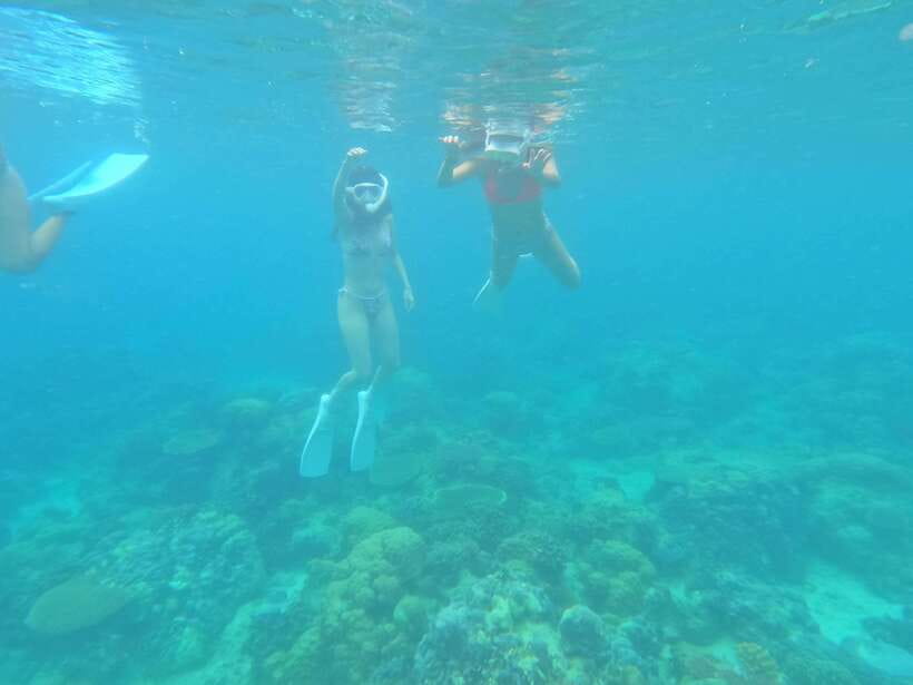 Coron: Dugong Watching with Sea Turtle and Coral Garden tour - Reaching the dugong area by boat