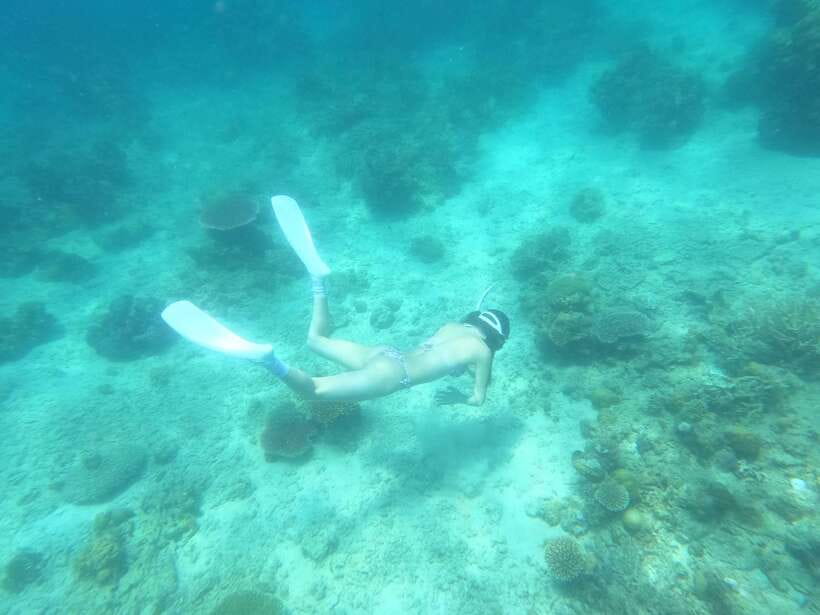 Coron: Dugong Watching with Sea Turtle and Coral Garden tour - The early start and two-hour ride from Coron