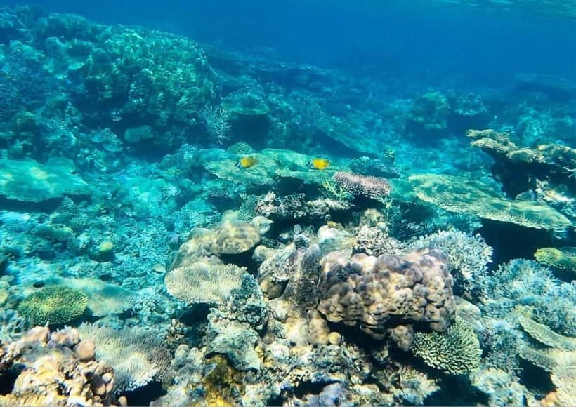 Coron: Island Tour B - Key points to know before booking