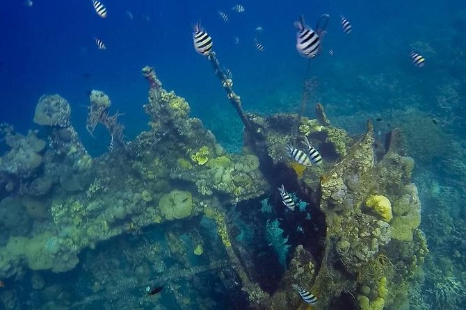 Coron Island Tour B (Private) - Key details before you book