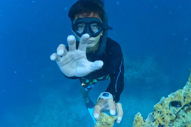 Coron Island Ultimate Tour: Private Boat and Tour Guide - Barracuda Lake is about rock and chance