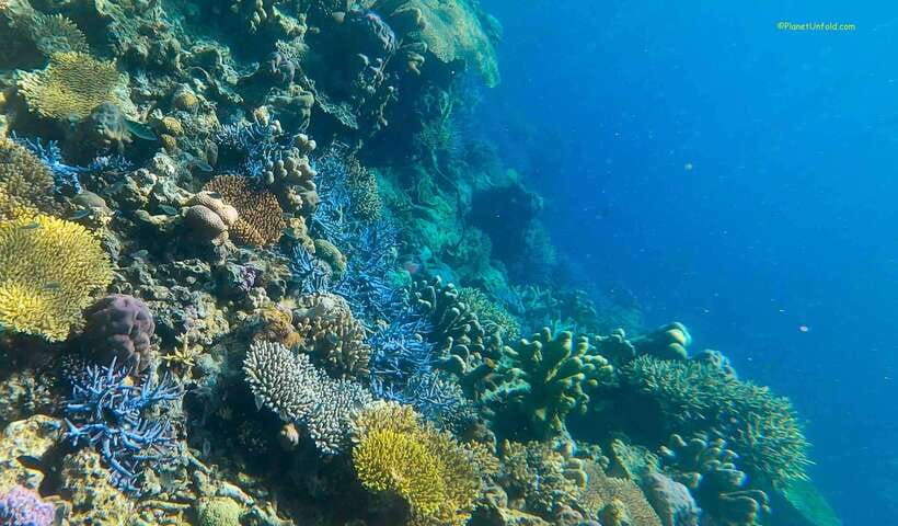 Coron Island Ultimate Tour (Private Tour) - Twin Lagoon and its blue-green water