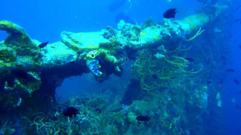 Coron Private Tour D: Reef and Wrecks - Why Coron Tour D works so well