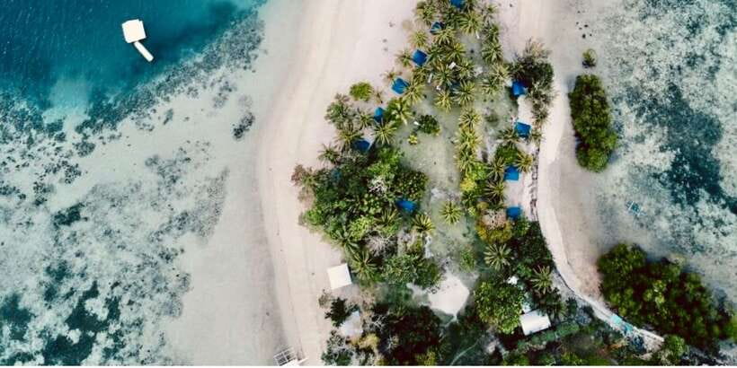 Coron Private Tour D: Reef and Wrecks - Lusong Coral Garden brings the color