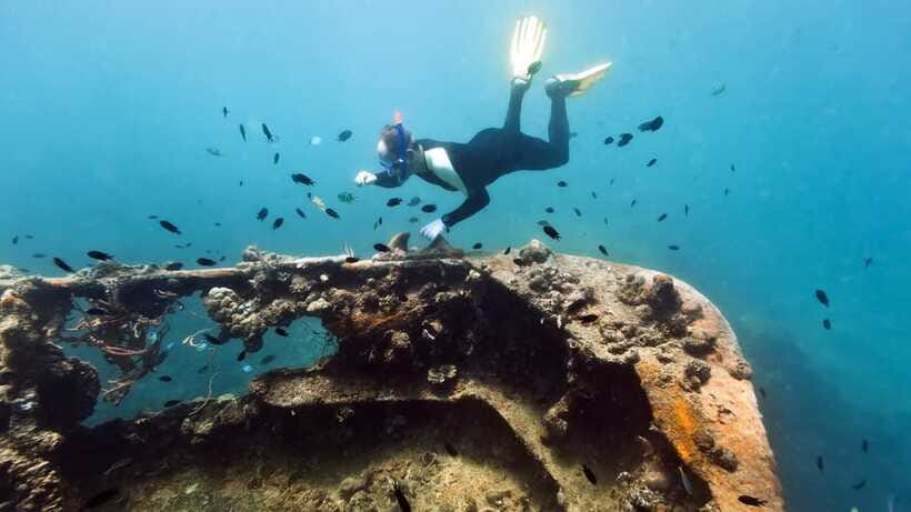 Coron Reef and Wrecks Tour (Private Tour) - Lusong Coral Garden rewards clear visibility