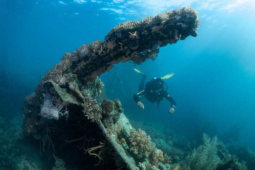 Coron Reef and Wrecks Tour (Private Tour) - Is $153 per person good value?