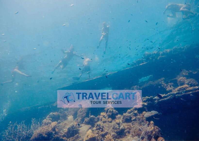 Coron Reef & Wrecks Tour - Key points to know before booking