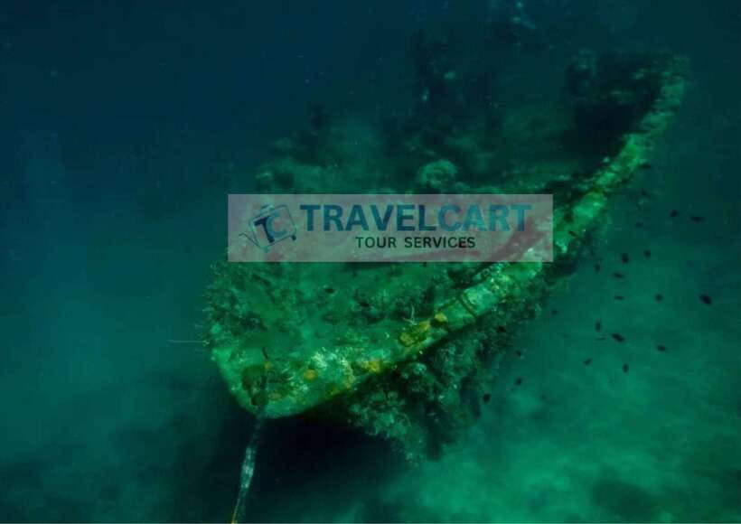 Coron Reef & Wrecks Tour - Why this Coron day trip works well