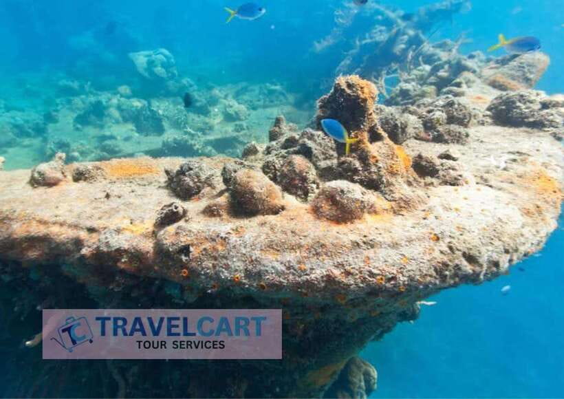 Coron Reef & Wrecks Tour - Pass Island brings the first change of pace