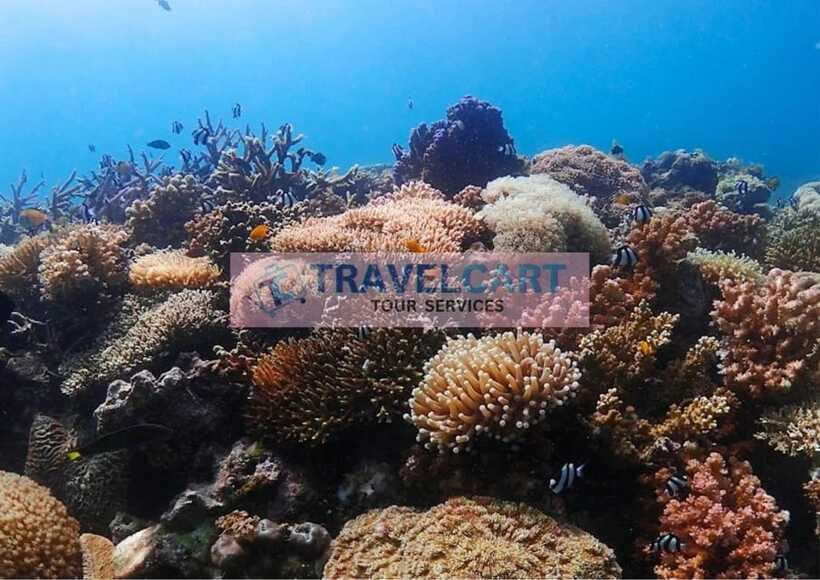Coron Reef & Wrecks Tour - What to bring and what to rent