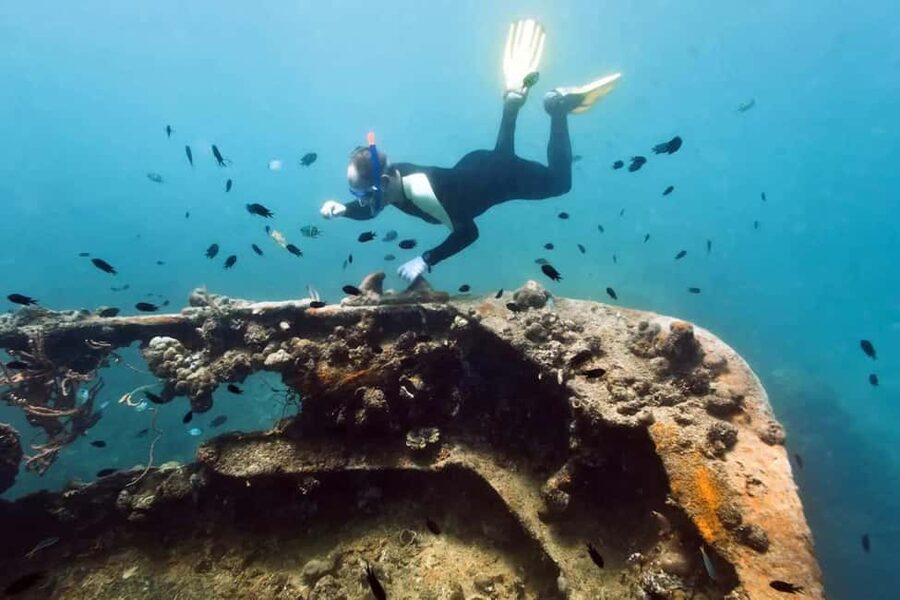 Coron: Reefs and Wrecks Tour with Snorkeling Equipment - Lusong Coral Garden: the easiest place to focus on fish