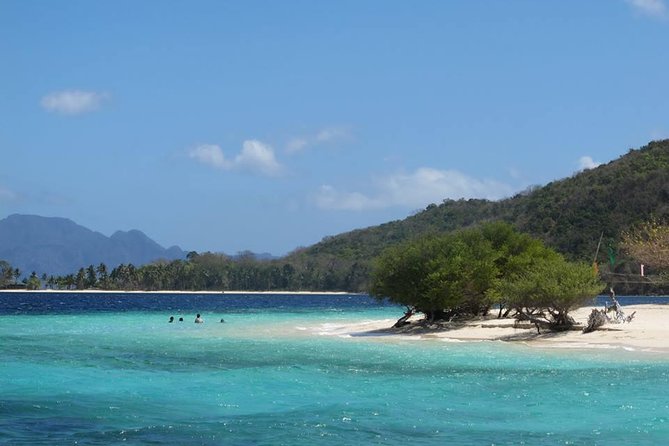 Coron Reefs & Wreck Tour (Shared Tour) - Starting at 8:00 am with hotel pickup