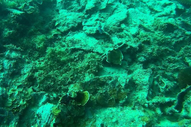 Coron Reefs & Wreck Tour (Shared Tour) - Pass Island and the Calumbuyan sandbar
