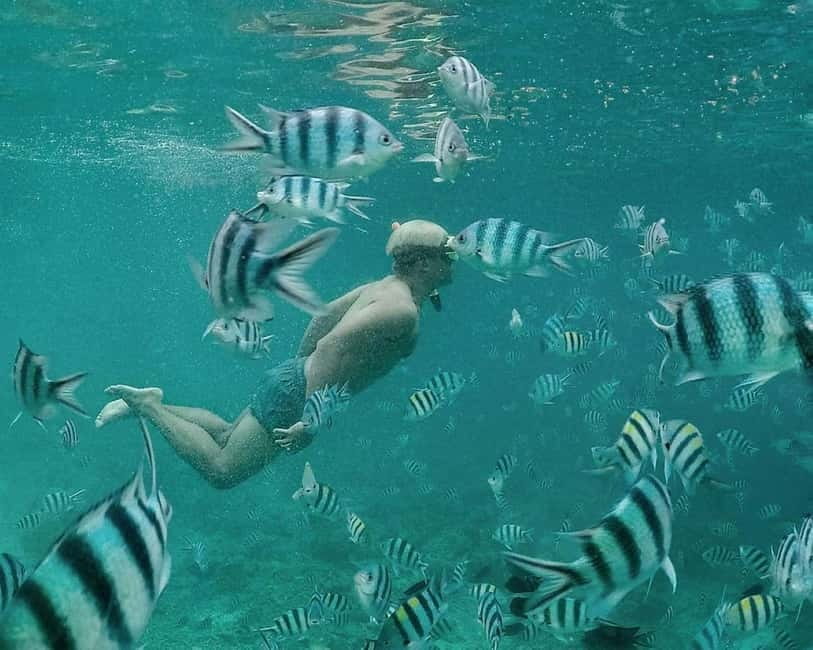 Coron: Super Ultimate 7 Destination with Lunch & Transfer - Barracuda Lake and its unusual underwater rock