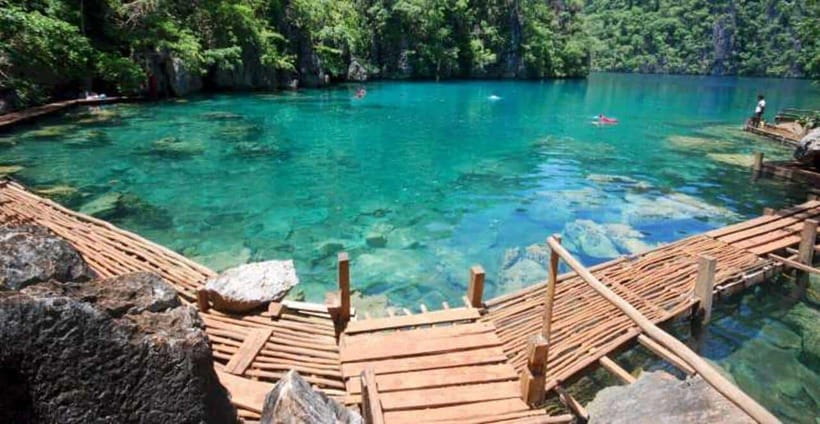 Coron | Super Ultimate Tour - Barracuda Lake, a freshwater oddity