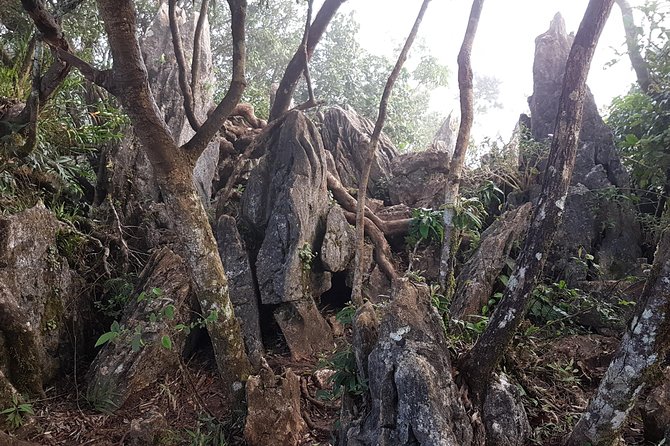 Day hike to Mount Daraitan with Tinipak River 2024 - The 4:00 am start and the ride out
