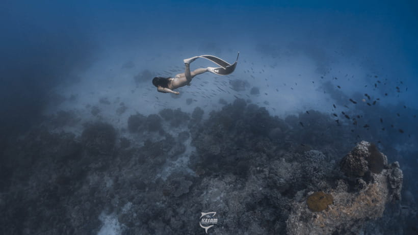 Discover Freediving in Boracay - Key points to know before booking