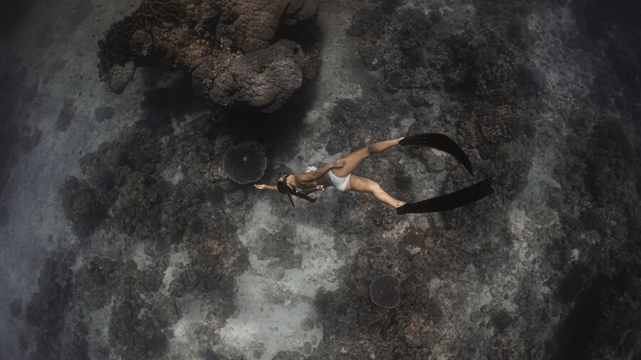 Discover Freediving in Boracay - Equipment, photos, and the practical extras