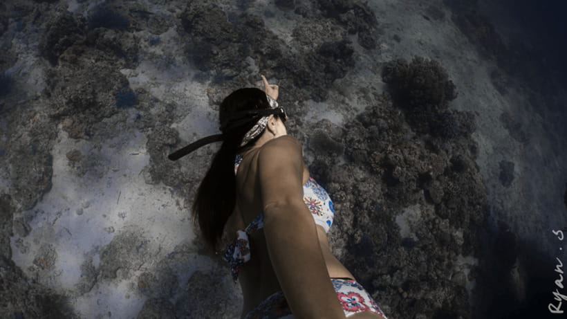 Discover Freediving in Boracay - What the early feedback tells you