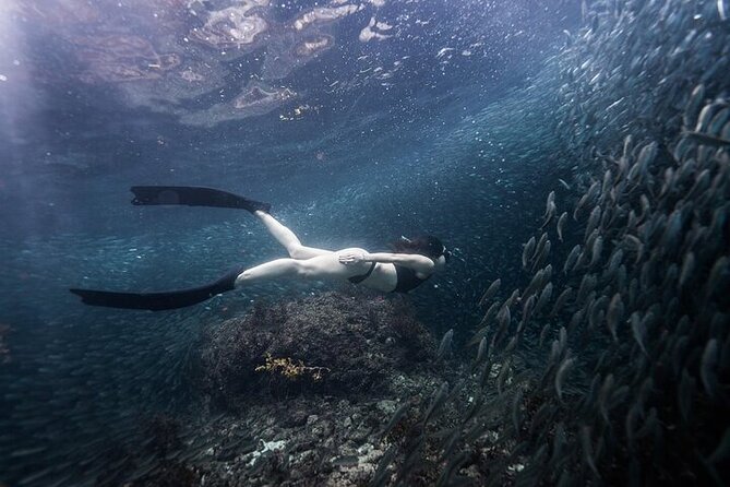 Discover Freediving One Amazing Day - What is included for the $225 price