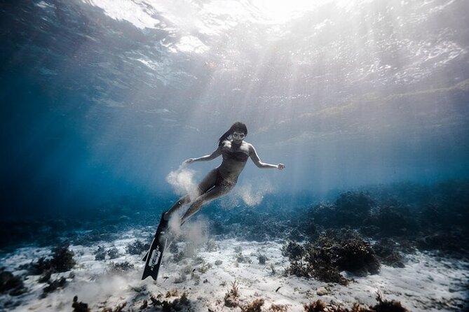 Discover Freediving One Amazing Day - The people who make the day work