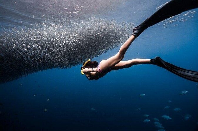 Discover Freediving One Amazing Day - Is this suitable if you have never freedived?