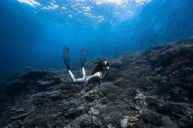 Discover Freediving One Amazing Day - Photos, memories, and the small-group advantage