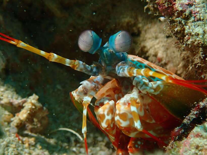 Discover Scuba Diving in Boracay - Who Will Get the Most From This Experience?