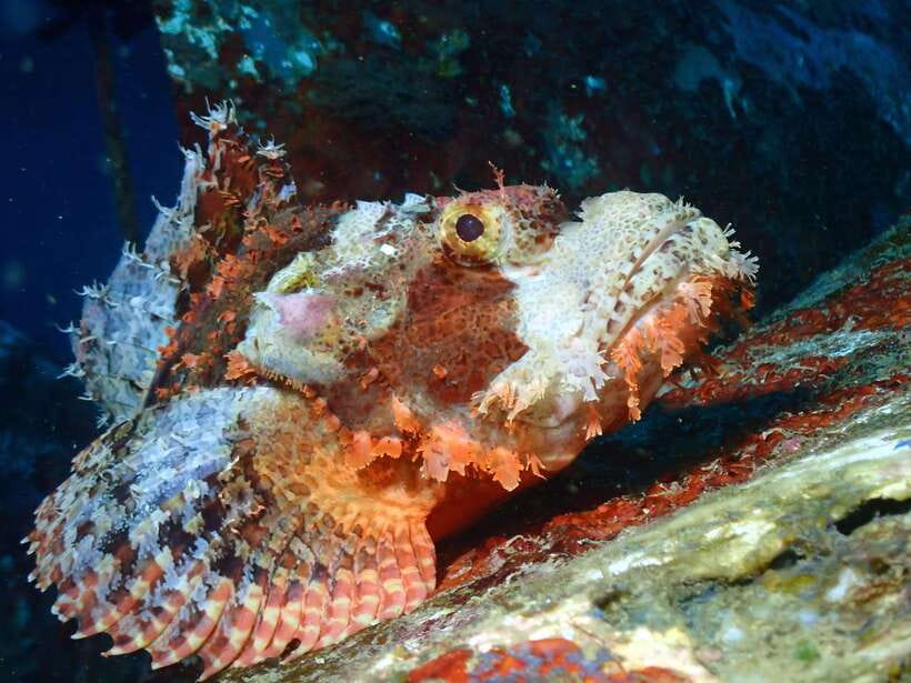 Discover Scuba Diving in Boracay - Getting Fitted With the Equipment